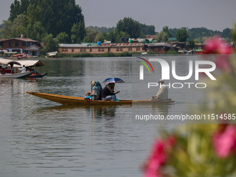 A man rows a boat on the waters of Dal Lake in Srinagar, Jammu and Kashmir, on August 26, 2024 (