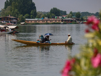 A man rows a boat on the waters of Dal Lake in Srinagar, Jammu and Kashmir, on August 26, 2024 (