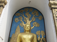 Shanti Stupa in Pokhara known as World Peace Pagoda with religious pilgrims and visitors, is a Buddhist monument situated at the height of 1...