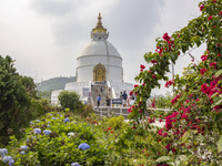 Shanti Stupa in Pokhara known as World Peace Pagoda with religious pilgrims and visitors, is a Buddhist monument situated at the height of 1...