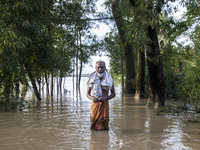 An elderly man stands on a flooded road in the Aburhat area of Mirsarai Upazila in Chittagong Division, Bangladesh, on August 26, 2024. At l...