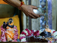 A priest performs 'Panchamrit Abhishek' at Radha Damodar Ji temple on the occasion of the Krishna Janmashtami festival in Jaipur, Rajasthan,...