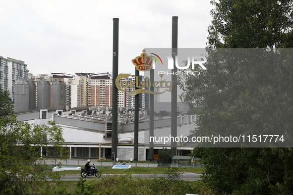 Carlsberg Brewery factory in Malaysia, on June 19, 2021. 