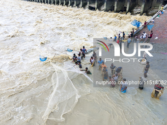 Fishermen and common people fish with handmade nets on the banks of the Feni River, ignoring the strong flow of floodwater along the Muhuri...