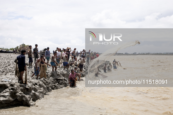 Fishermen and common people fish with handmade nets on the banks of the Feni River, ignoring the strong flow of floodwater along the Muhuri...