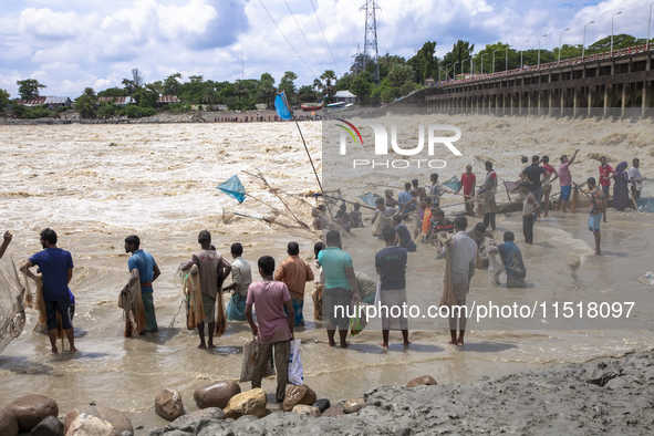 Fishermen and common people fish with handmade nets on the banks of the Feni River, ignoring the strong flow of floodwater along the Muhuri...