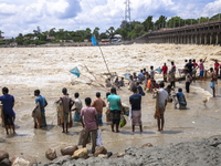 Fishermen and common people fish with handmade nets on the banks of the Feni River, ignoring the strong flow of floodwater along the Muhuri...