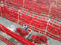 Farmers dry chili peppers in the sun in Bayingolin Mongolian Autonomous Prefecture, Xinjiang province, China, on August 27, 2024. (