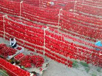 Farmers dry chili peppers in the sun in Bayingolin Mongolian Autonomous Prefecture, Xinjiang province, China, on August 27, 2024. (