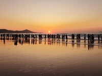 Tourists watch the sunrise at the Golden Beach in Qingdao, China, on August 28, 2024. (