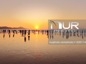 Tourists watch the sunrise at the Golden Beach in Qingdao, China, on August 28, 2024. (