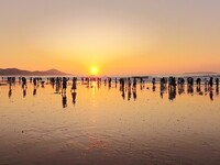 Tourists watch the sunrise at the Golden Beach in Qingdao, China, on August 28, 2024. (