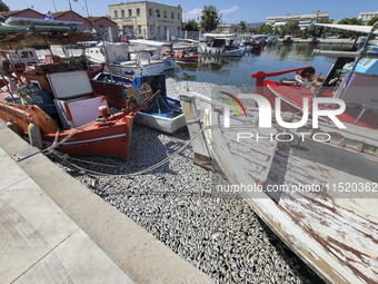 Ecological disaster in Greece with large amount of dead fish wash-up on the beach, shores, port of Volos city and the Pagasetic Gulf spreadi...