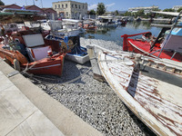 Ecological disaster in Greece with large amount of dead fish wash-up on the beach, shores, port of Volos city and the Pagasetic Gulf spreadi...