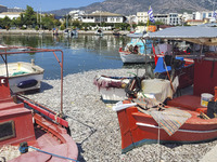 Ecological disaster in Greece with large amount of dead fish wash-up on the beach, shores, port of Volos city and the Pagasetic Gulf spreadi...