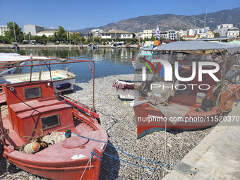 Ecological disaster in Greece with large amount of dead fish wash-up on the beach, shores, port of Volos city and the Pagasetic Gulf spreadi...