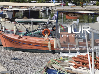 Ecological disaster in Greece with large amount of dead fish wash-up on the beach, shores, port of Volos city and the Pagasetic Gulf spreadi...