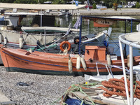 Ecological disaster in Greece with large amount of dead fish wash-up on the beach, shores, port of Volos city and the Pagasetic Gulf spreadi...