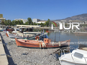 Ecological disaster in Greece with large amount of dead fish wash-up on the beach, shores, port of Volos city and the Pagasetic Gulf spreadi...