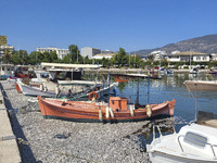 Ecological disaster in Greece with large amount of dead fish wash-up on the beach, shores, port of Volos city and the Pagasetic Gulf spreadi...