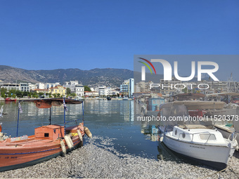 Ecological disaster in Greece with large amount of dead fish wash-up on the beach, shores, port of Volos city and the Pagasetic Gulf spreadi...