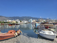 Ecological disaster in Greece with large amount of dead fish wash-up on the beach, shores, port of Volos city and the Pagasetic Gulf spreadi...