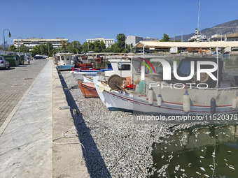 Ecological disaster in Greece with large amount of dead fish wash-up on the beach, shores, port of Volos city and the Pagasetic Gulf spreadi...