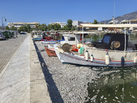 Ecological disaster in Greece with large amount of dead fish wash-up on the beach, shores, port of Volos city and the Pagasetic Gulf spreadi...