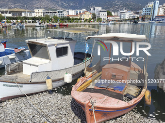 Ecological disaster in Greece with large amount of dead fish wash-up on the beach, shores, port of Volos city and the Pagasetic Gulf spreadi...