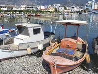 Ecological disaster in Greece with large amount of dead fish wash-up on the beach, shores, port of Volos city and the Pagasetic Gulf spreadi...