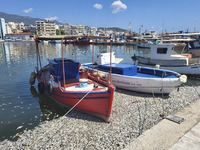 Ecological disaster in Greece with large amount of dead fish wash-up on the beach, shores, port of Volos city and the Pagasetic Gulf spreadi...