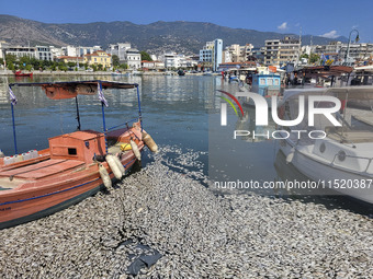 Ecological disaster in Greece with large amount of dead fish wash-up on the beach, shores, port of Volos city and the Pagasetic Gulf spreadi...