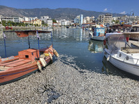 Ecological disaster in Greece with large amount of dead fish wash-up on the beach, shores, port of Volos city and the Pagasetic Gulf spreadi...