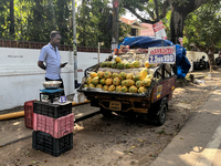 A man sells papayas along the roadside in Thiruvananthapuram (Trivandrum), Kerala, India, on April 16, 2024. (