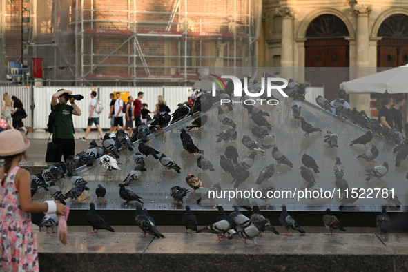 KRAKOW, POLAND - AUGUST 28:
A flock of pigeons cools off on the glass pyramid of Krakow's Underground Museum in the UNESCO Market Square, as...