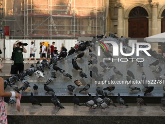 KRAKOW, POLAND - AUGUST 28:
A flock of pigeons cools off on the glass pyramid of Krakow's Underground Museum in the UNESCO Market Square, as...