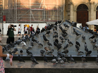 KRAKOW, POLAND - AUGUST 28:
A flock of pigeons cools off on the glass pyramid of Krakow's Underground Museum in the UNESCO Market Square, as...