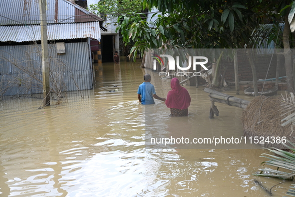 People walk in flood water in Feni District, Bangladesh, on August 29, 2024. At least 52 people are killed, a total of 43 upazilas in severa...