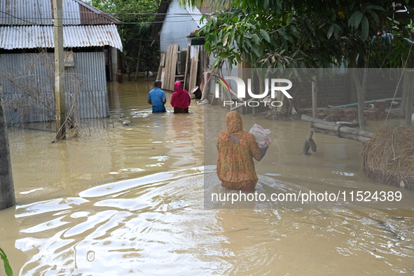 People walk in flood water in Feni District, Bangladesh, on August 29, 2024. At least 52 people are killed, a total of 43 upazilas in severa...