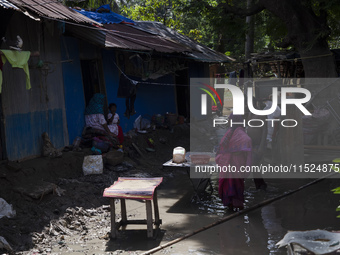 A flood-affected family places rice on a table to dry in the low sun in the Gopal area of Chagalnaya upazila, Feni district, Chittagong divi...