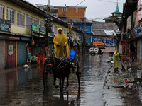 A man rides a horse-drawn carriage on a rainy day in Sopore, Jammu and Kashmir, India, on August 30, 2024. (