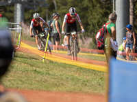 Felix Sommer of Switzerland competes in the UCI Mountain Bike World Championships Cross-Country Olympic Men Junior in Pal Arinsal, Andorra,...