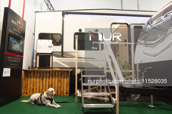 A dog rests at the Duesseldorf Trade Fair Center during the Caravan Salon, the leading motorhome and camping van trade fair, in Duesseldorf,...