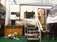 A dog rests at the Duesseldorf Trade Fair Center during the Caravan Salon, the leading motorhome and camping van trade fair, in Duesseldorf,...