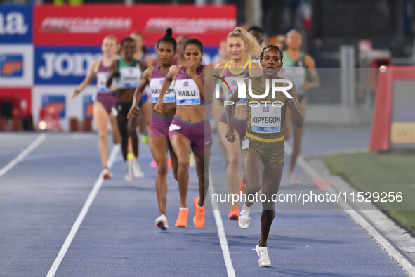 During the IAAF Wanda Diamond League: Golden Gala Pietro Mennea at Olympic Stadium in Rome, Italy, on August 30, 2024 