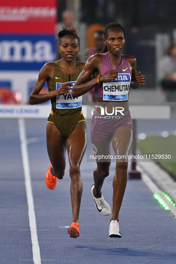 Winfred Yavi (BRN) competes in the 3000m Steeplechase Women during the IAAF Wanda Diamond League: Golden Gala Pietro Mennea at Olympic Stadi...