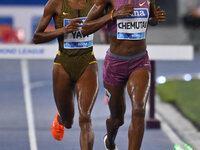 Winfred Yavi (BRN) competes in the 3000m Steeplechase Women during the IAAF Wanda Diamond League: Golden Gala Pietro Mennea at Olympic Stadi...