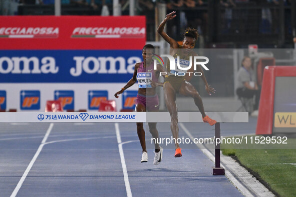 Winfred Yavi (BRN) competes in the 3000m Steeplechase Women during the IAAF Wanda Diamond League: Golden Gala Pietro Mennea at Olympic Stadi...