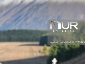 A dead rabbit lies on a part of a road in Twizel, New Zealand, on August 30, 2024. (