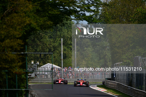 Carlos Sainz of Scuderia Ferrari and Charles Leclerc of Scuderia Ferrari drive their single-seaters during qualifying of the Italian GP, the...